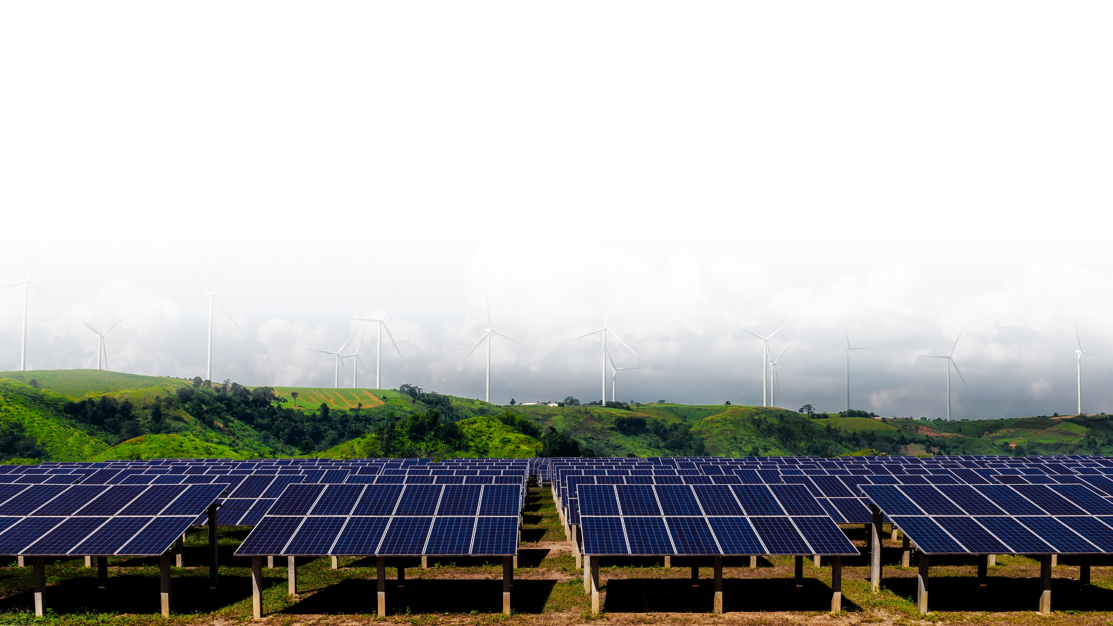 Sustainability & Responsibility